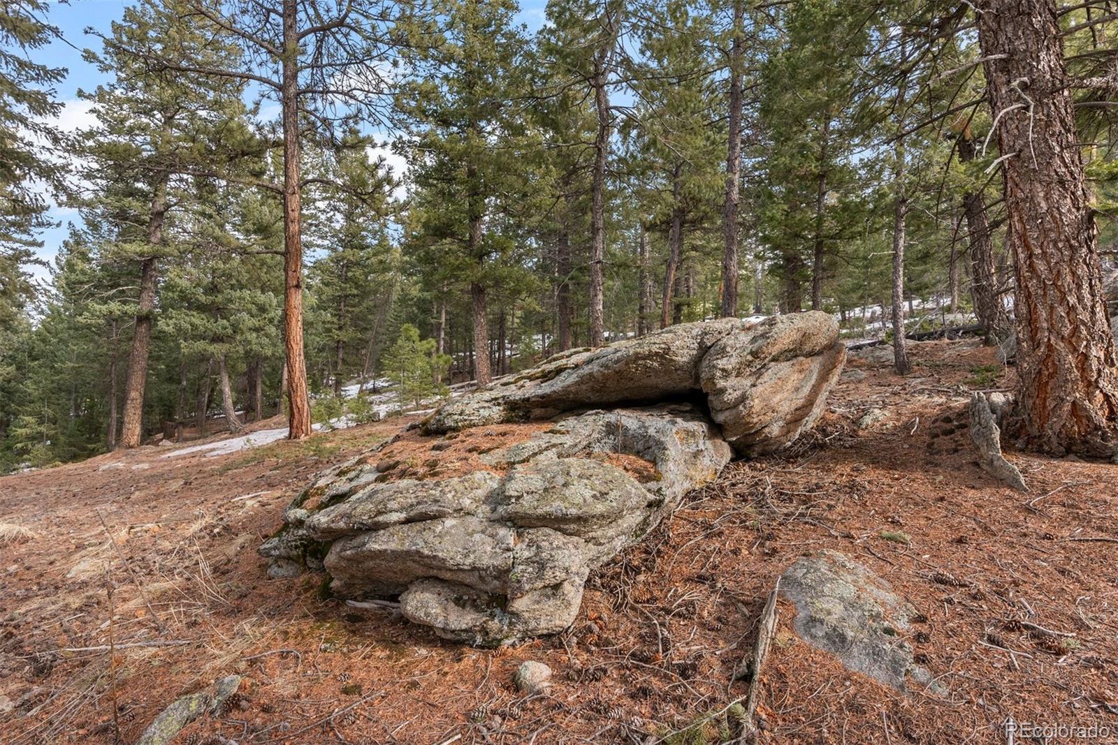 MLS Image #48 for 7845  armadillo trail,evergreen, Colorado