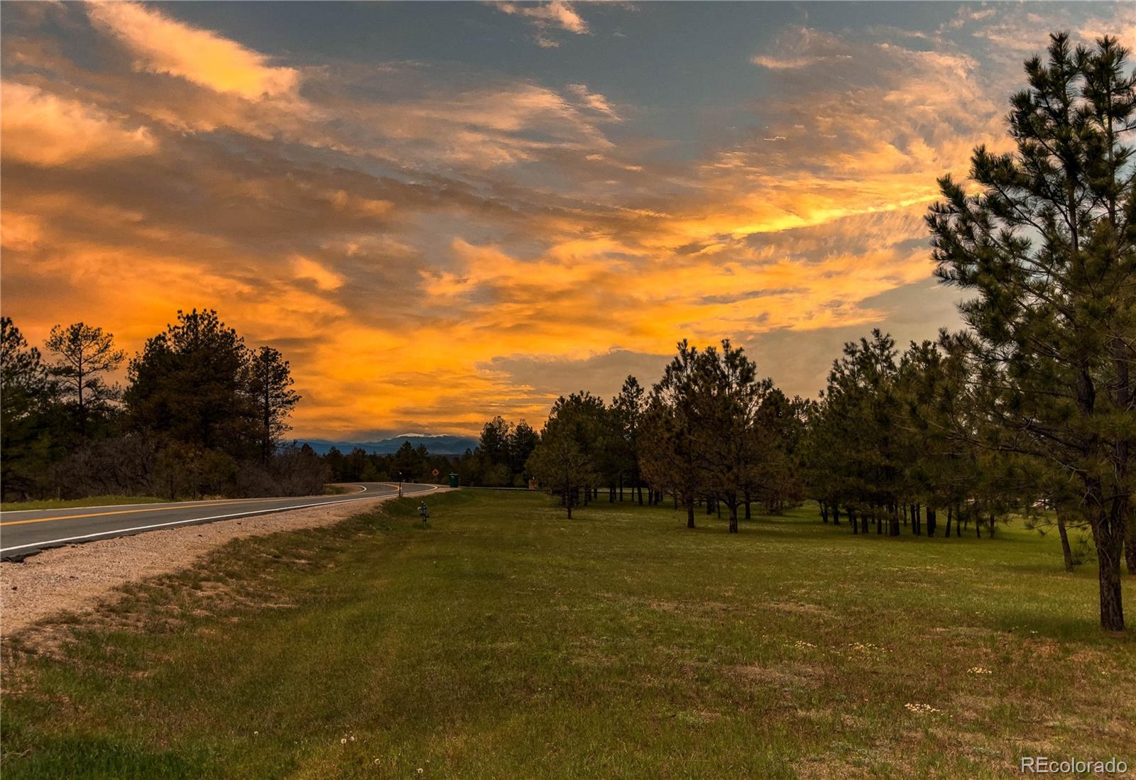 MLS Image #2 for 10393  deerfield road,franktown, Colorado