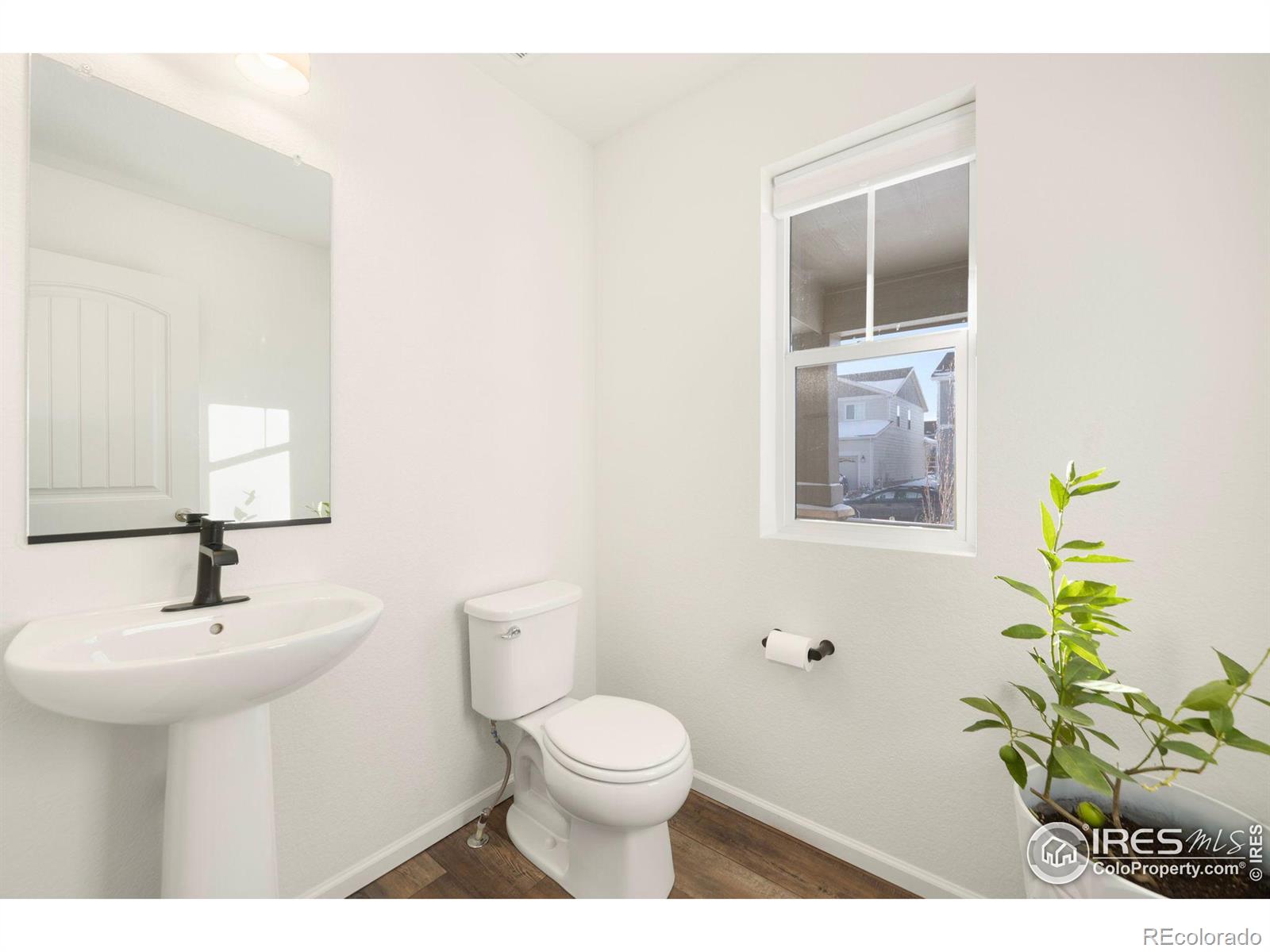 MLS Image #9 for 3734  keplinger lake drive,loveland, Colorado