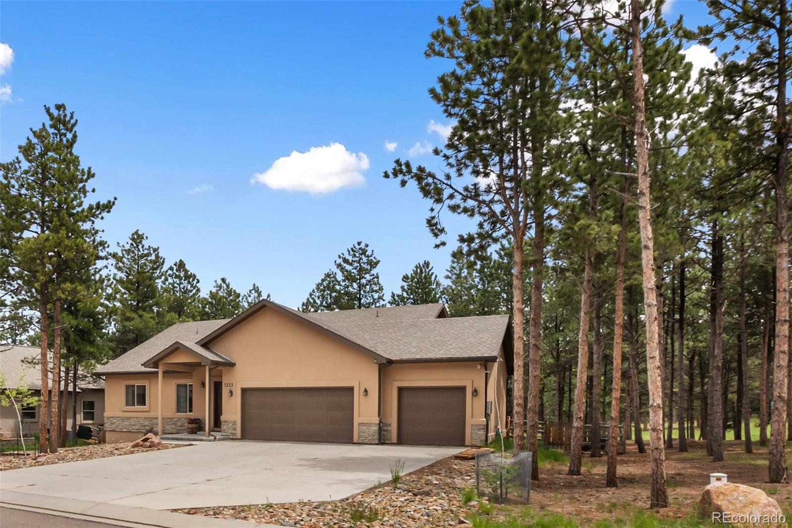 Report Image for 1323  Firestone Drive,Woodland Park, Colorado