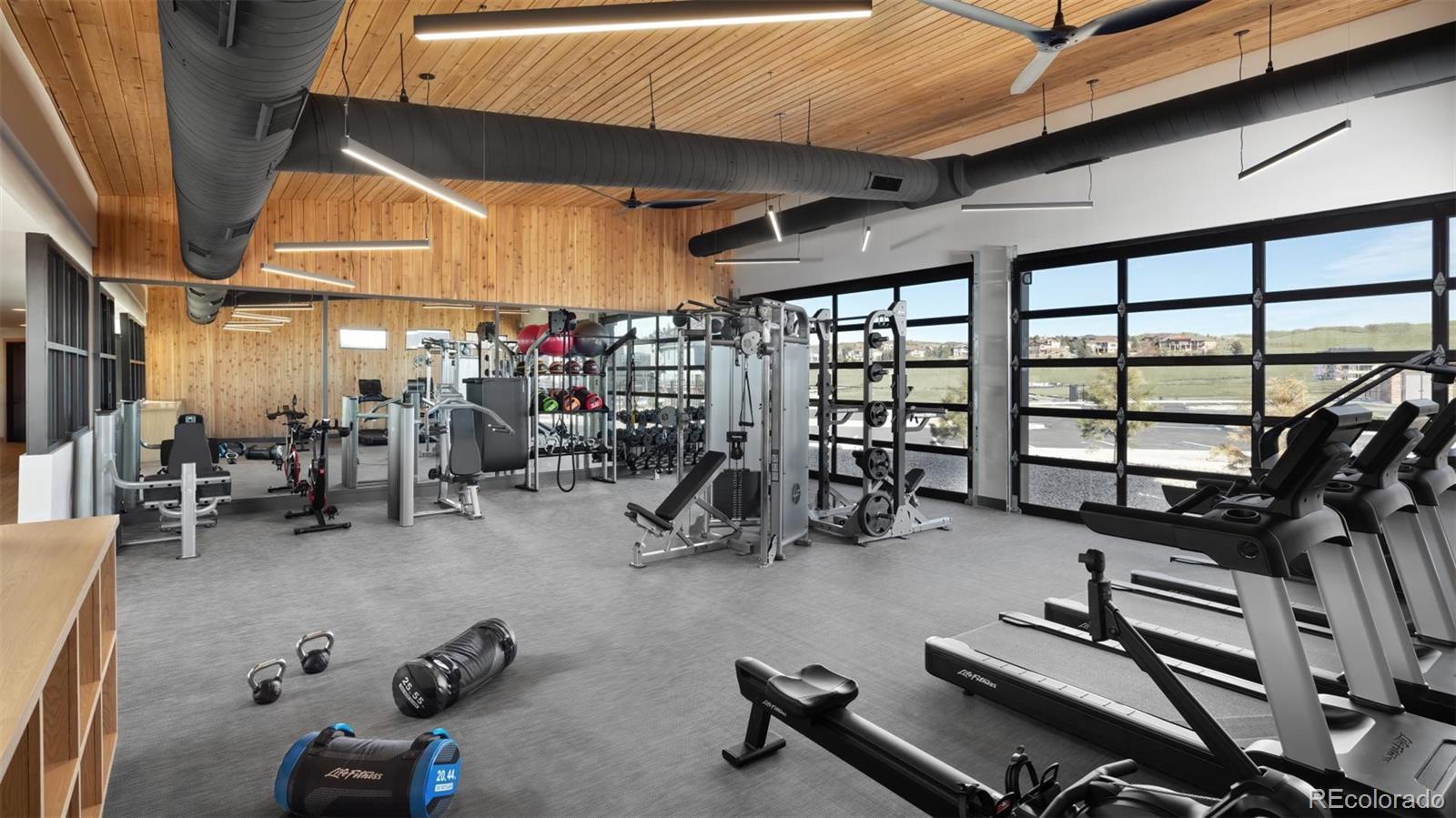 MLS Image #7 for 584  coal bank trail,castle rock, Colorado
