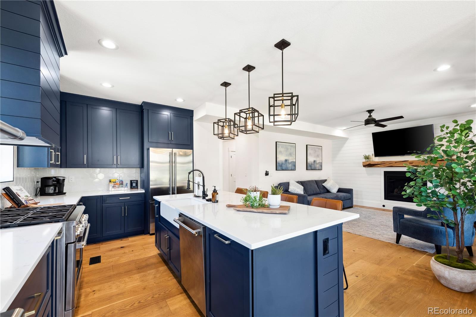 MLS Image #11 for 30796  burland road,golden, Colorado