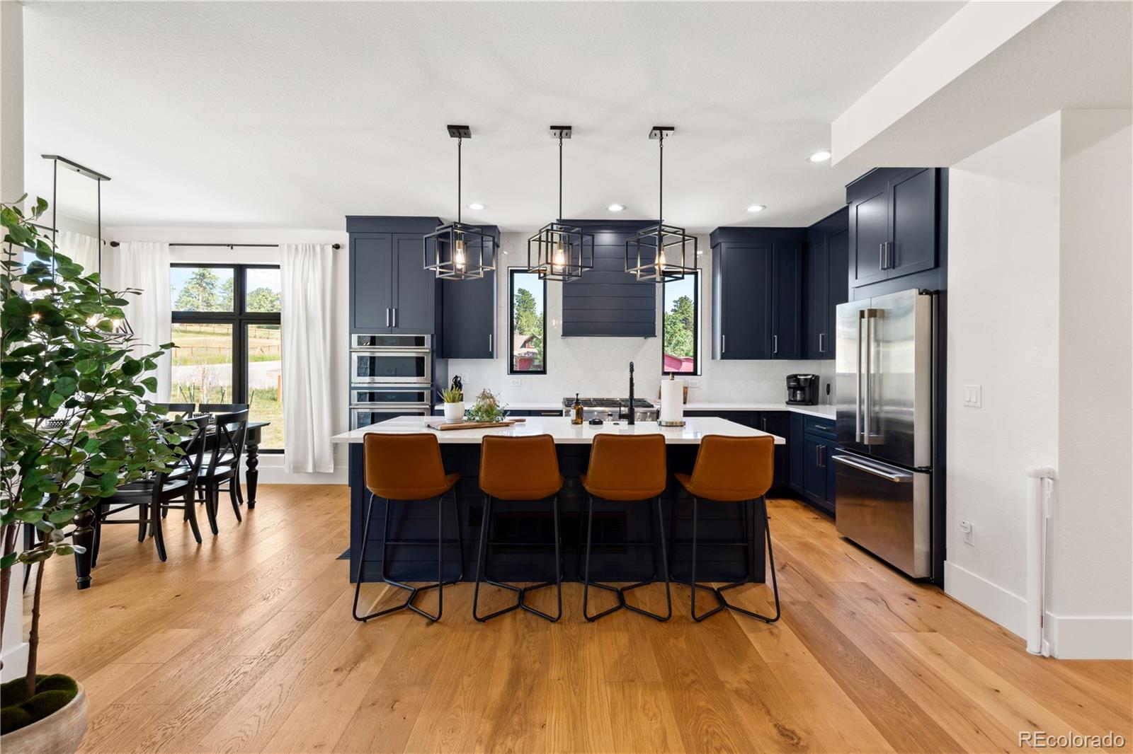 MLS Image #7 for 30796  burland road,golden, Colorado