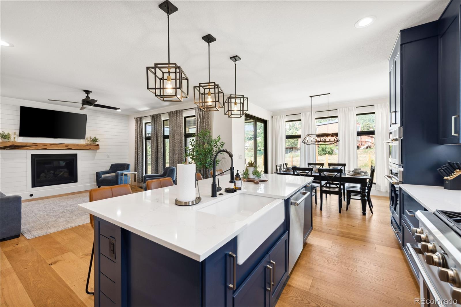 MLS Image #8 for 30796  burland road,golden, Colorado