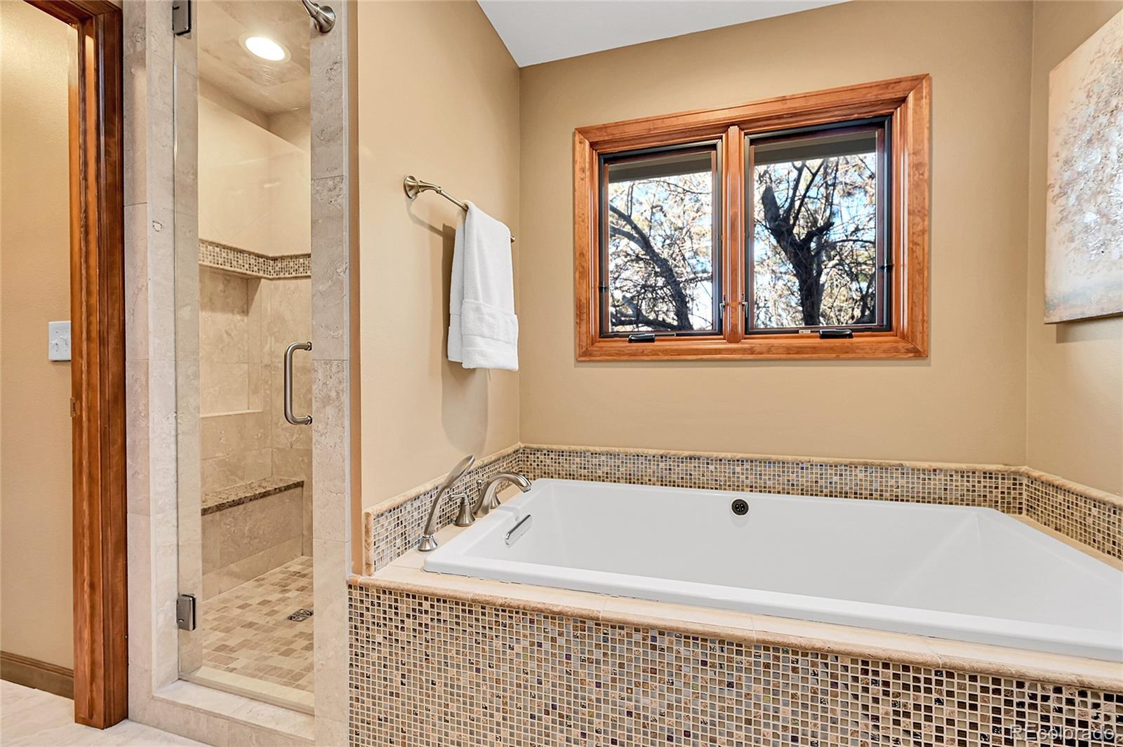 MLS Image #22 for 16735 e crestline place,centennial, Colorado
