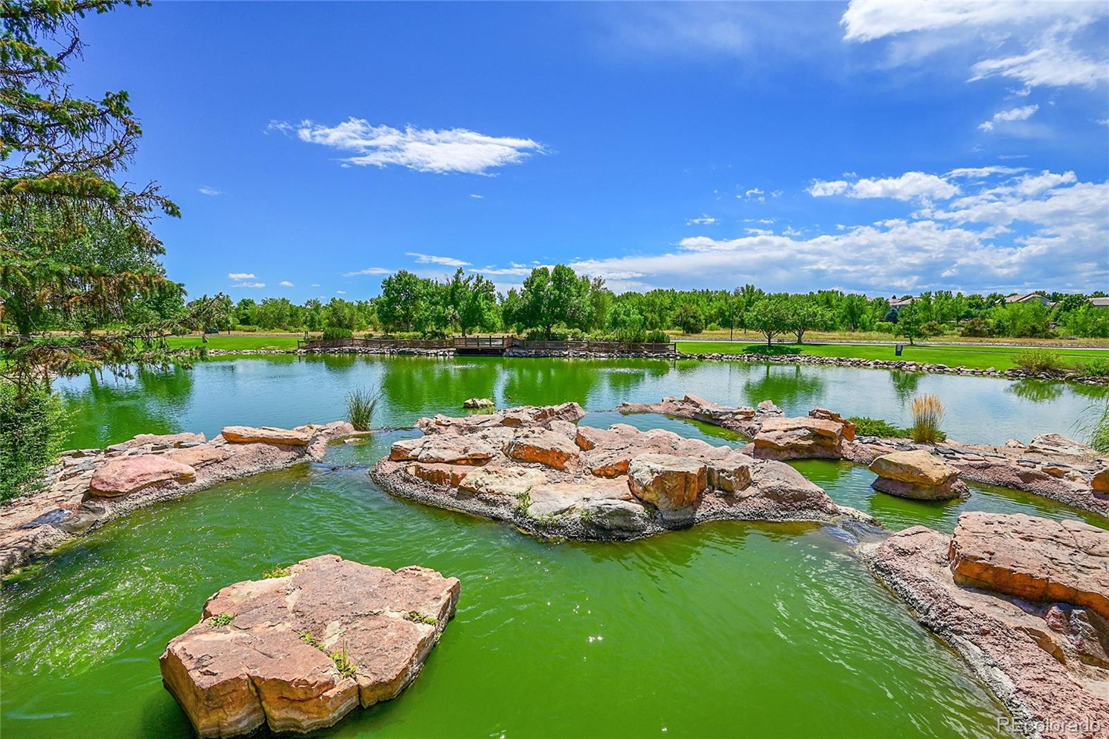MLS Image #48 for 16735 e crestline place,centennial, Colorado
