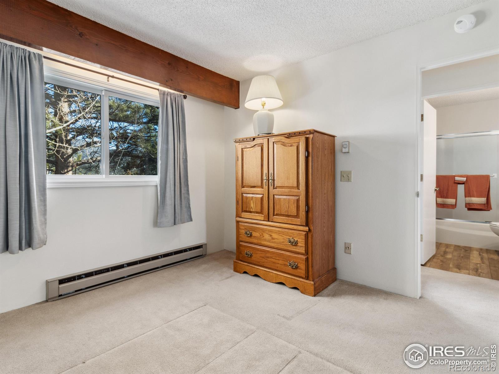 MLS Image #10 for 1050 s saint vrain avenue,estes park, Colorado