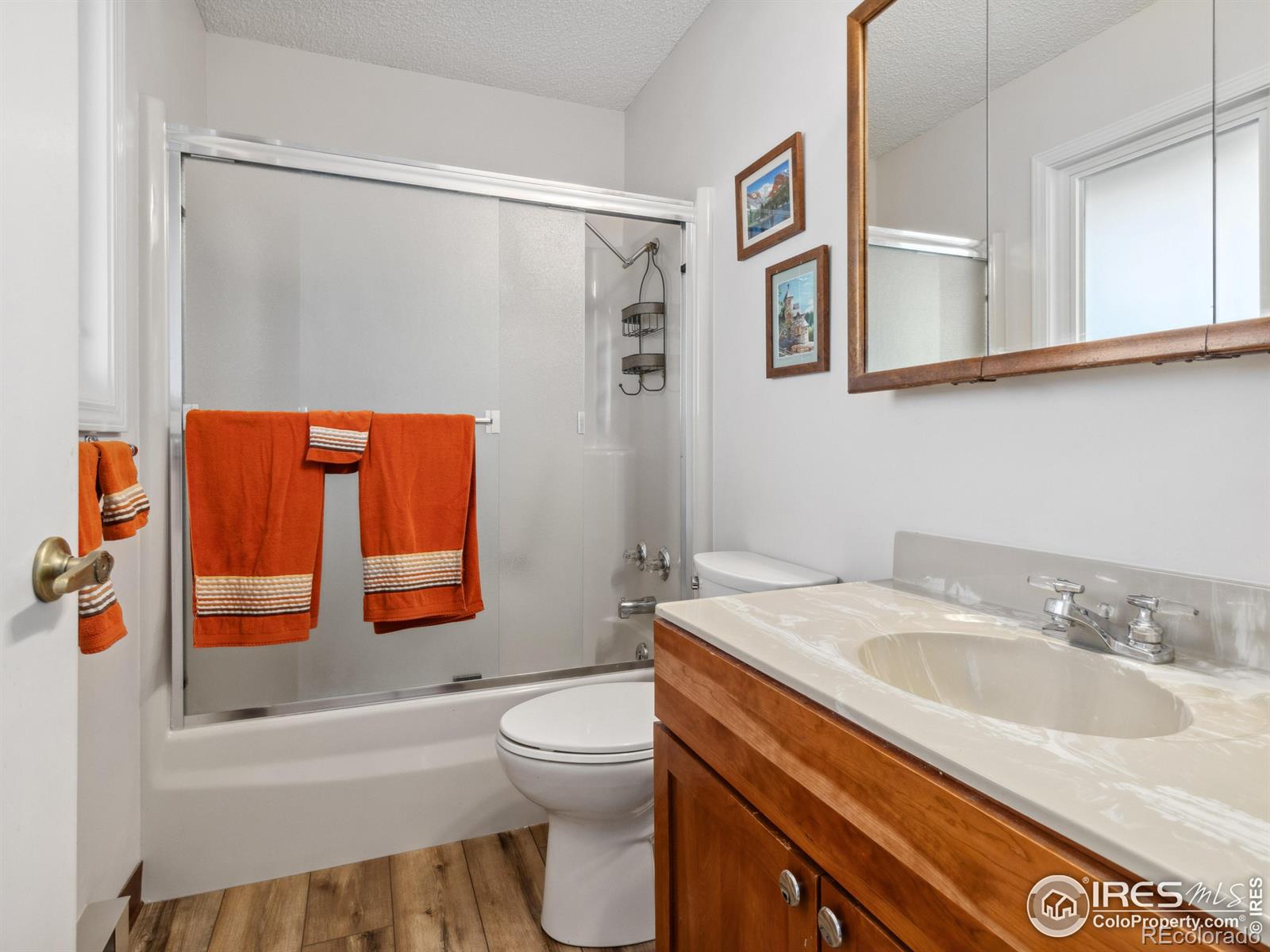 MLS Image #12 for 1050 s saint vrain avenue,estes park, Colorado