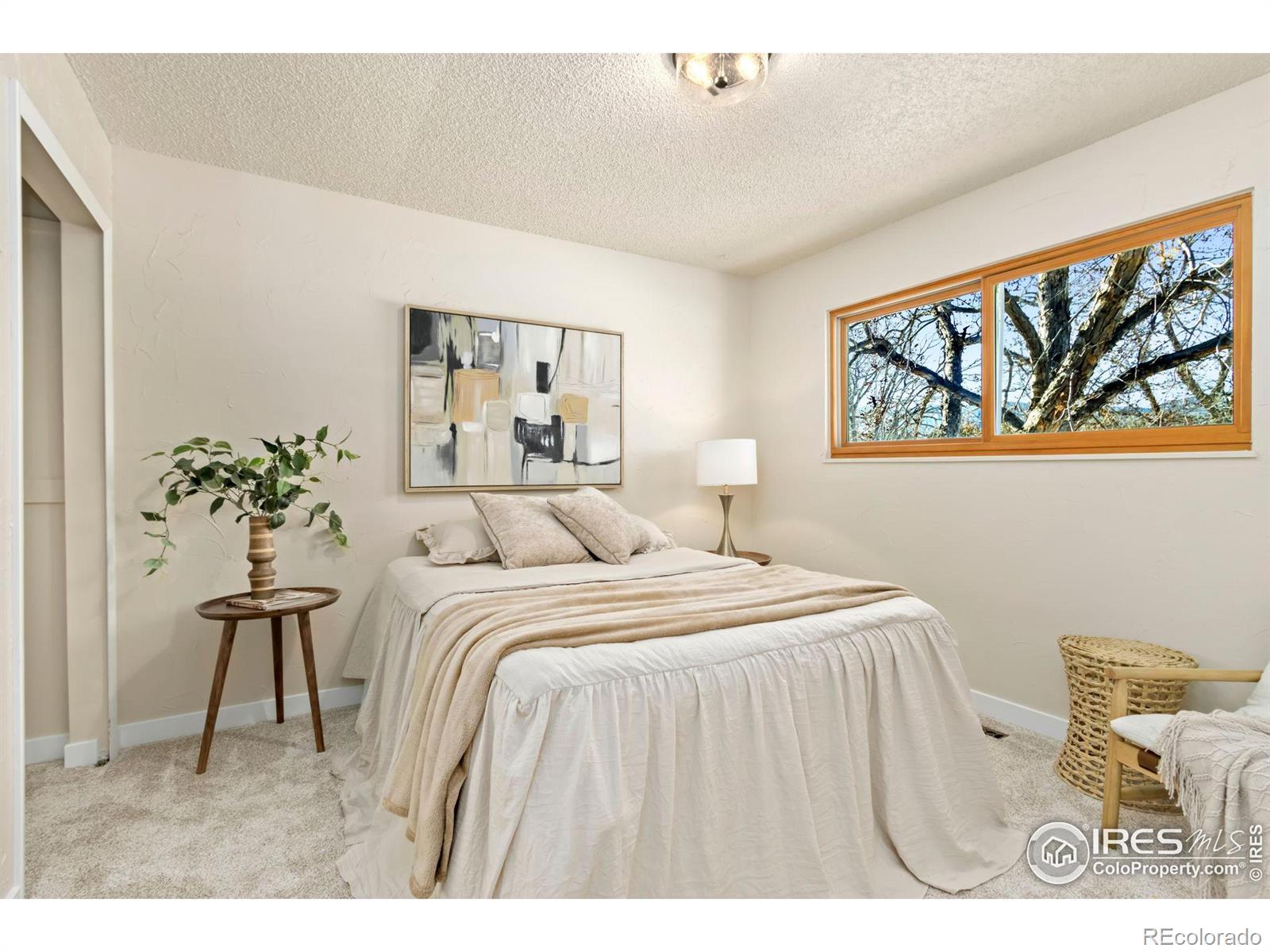 MLS Image #17 for 2461  cheviot drive,fort collins, Colorado