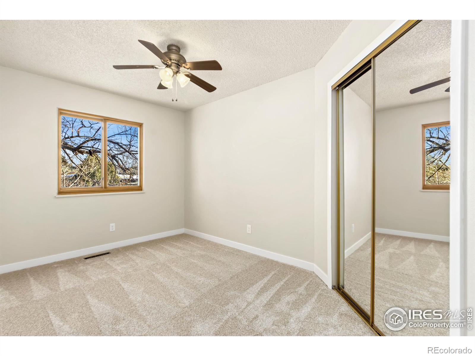 MLS Image #20 for 2461  cheviot drive,fort collins, Colorado