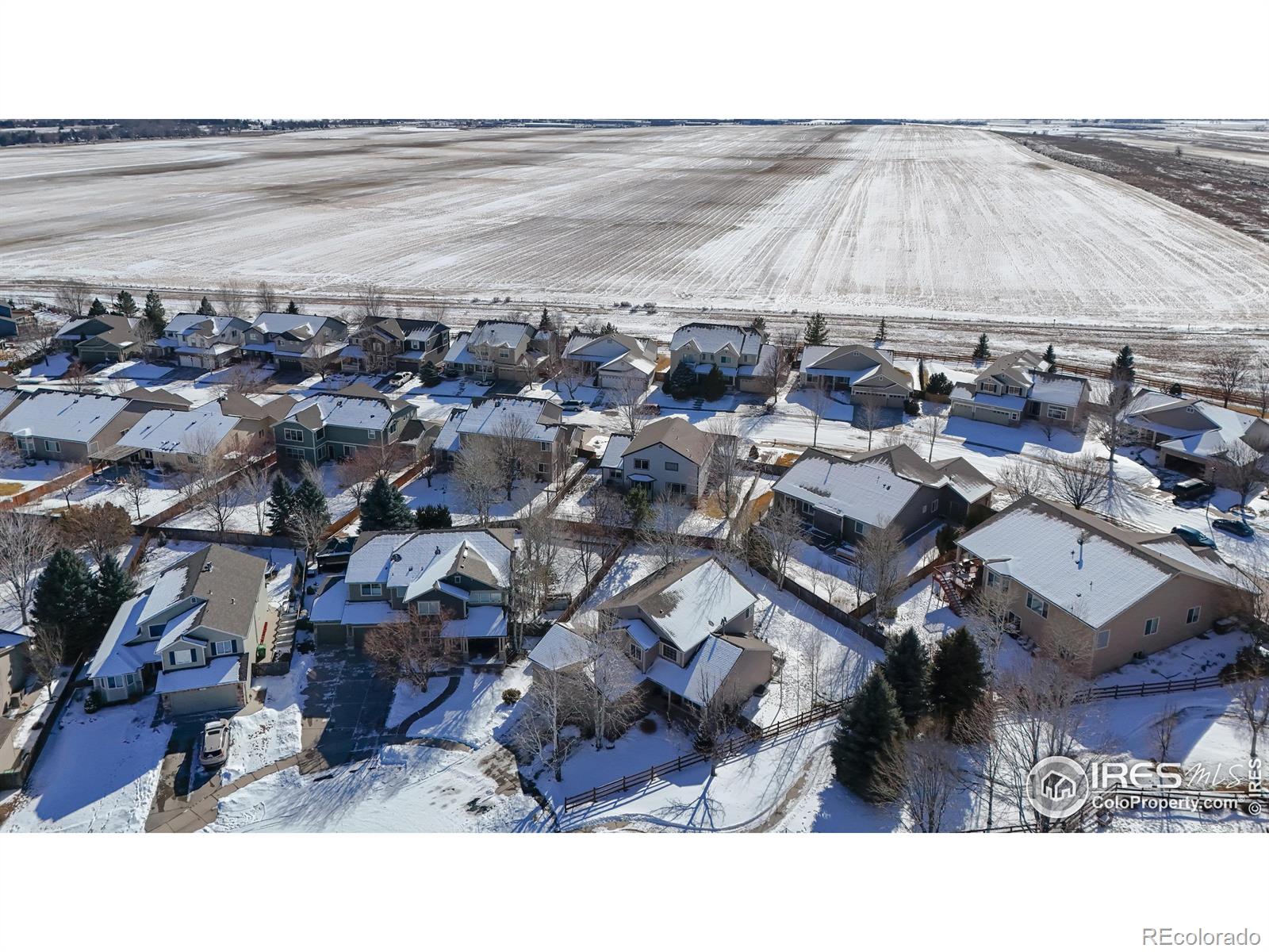 MLS Image #39 for 733  hillrose court,fort collins, Colorado