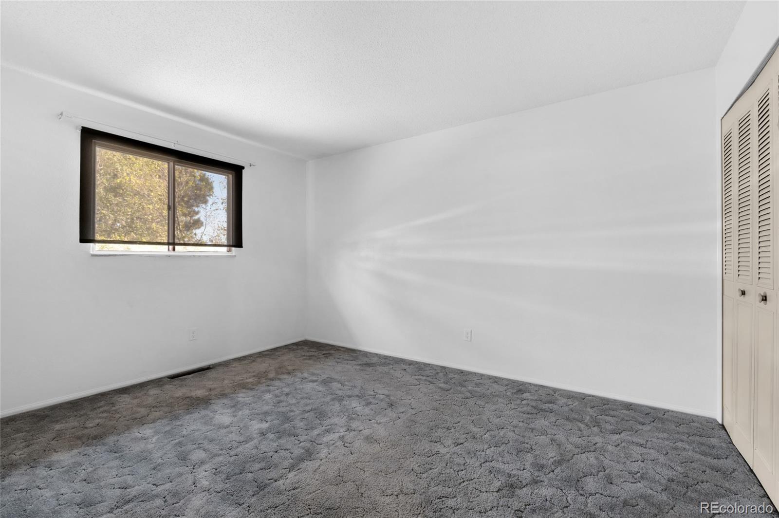 MLS Image #11 for 1009  galley place,colorado springs, Colorado