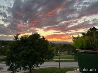 MLS Image #21 for 8627  gold peak place,highlands ranch, Colorado