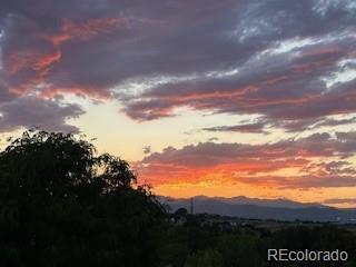 MLS Image #22 for 8627  gold peak place,highlands ranch, Colorado