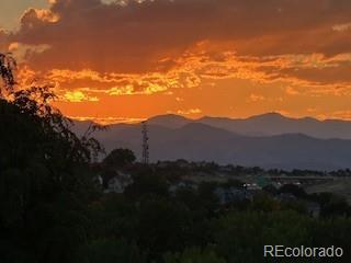 MLS Image #23 for 8627  gold peak place,highlands ranch, Colorado