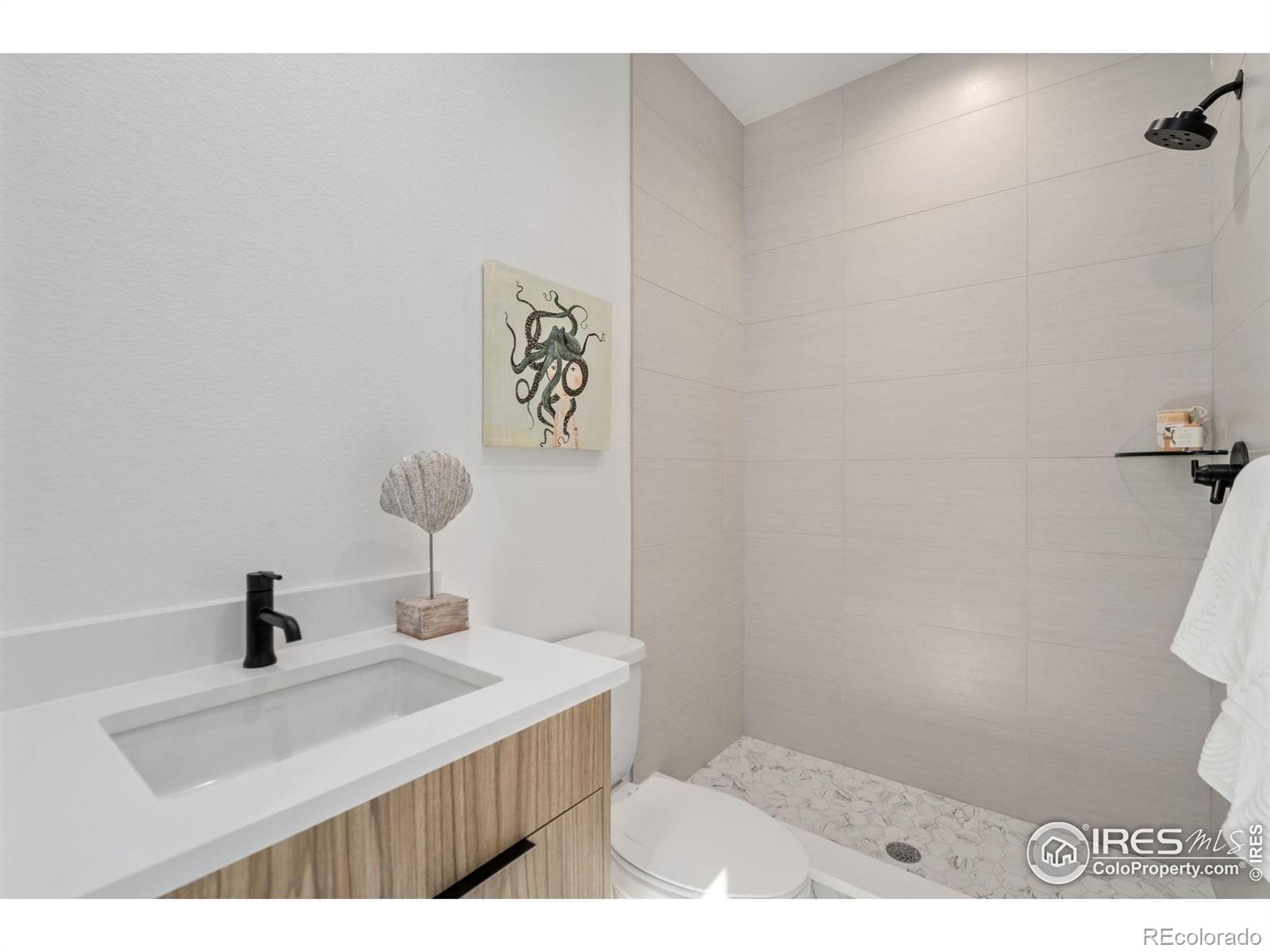 MLS Image #29 for 1720  branching canopy drive,windsor, Colorado