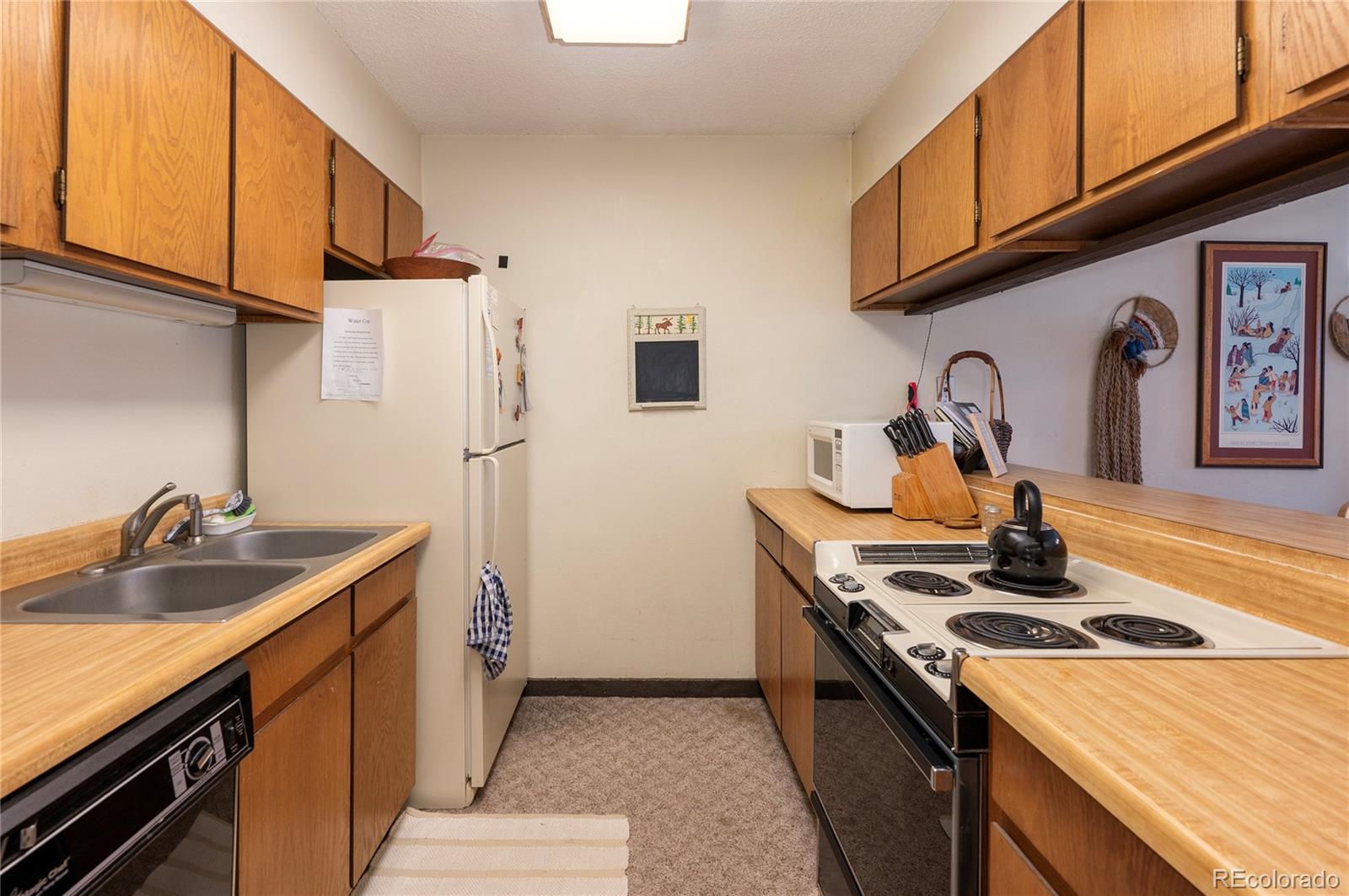 MLS Image #8 for 80  gcr 838/e meadow mile ,fraser, Colorado