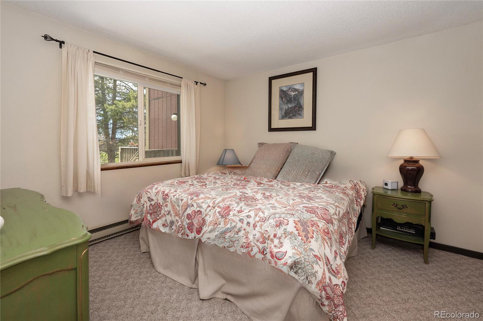 MLS Image #9 for 80  gcr 838/e meadow mile ,fraser, Colorado