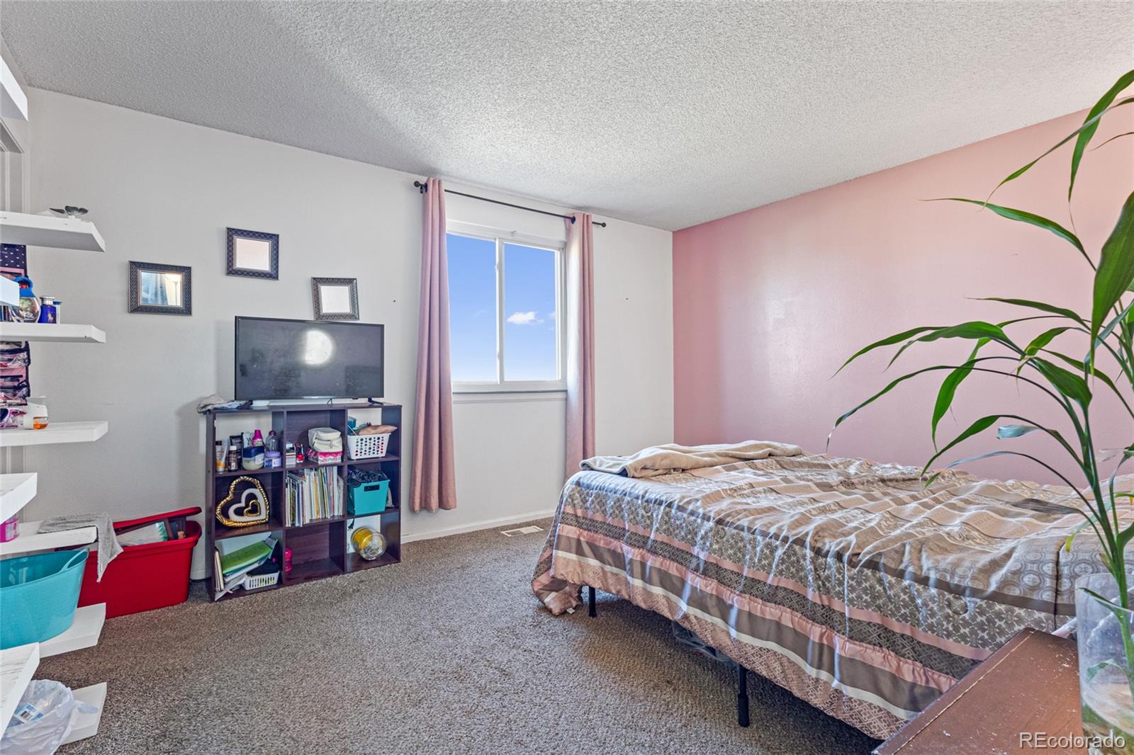 MLS Image #11 for 4343 e 93rd place,thornton, Colorado