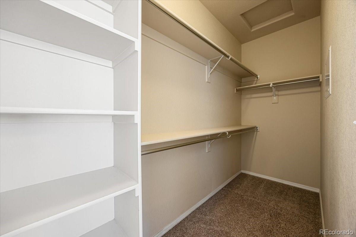 MLS Image #20 for 5295  prominence point,colorado springs, Colorado