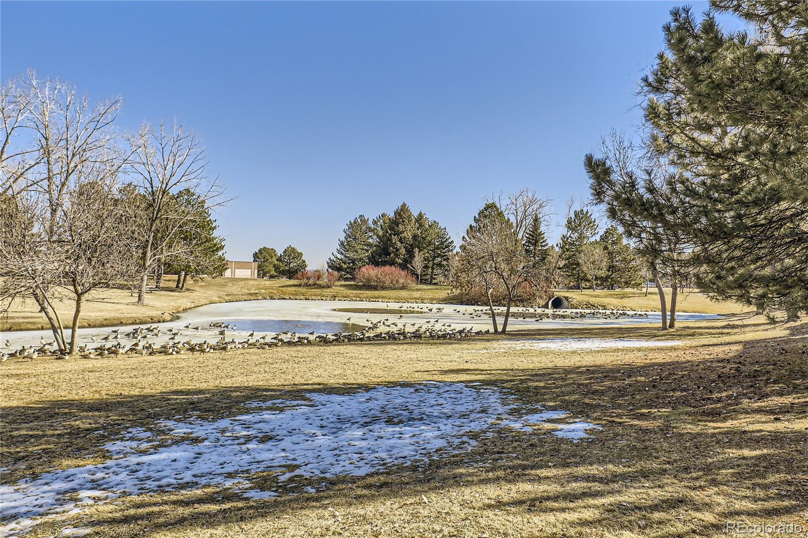 MLS Image #2 for 10425  red mountain west  ,littleton, Colorado