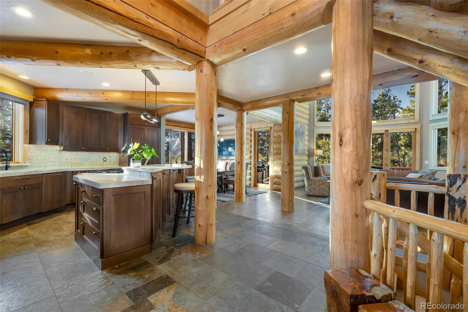 MLS Image #13 for 116  primrose place,frisco, Colorado