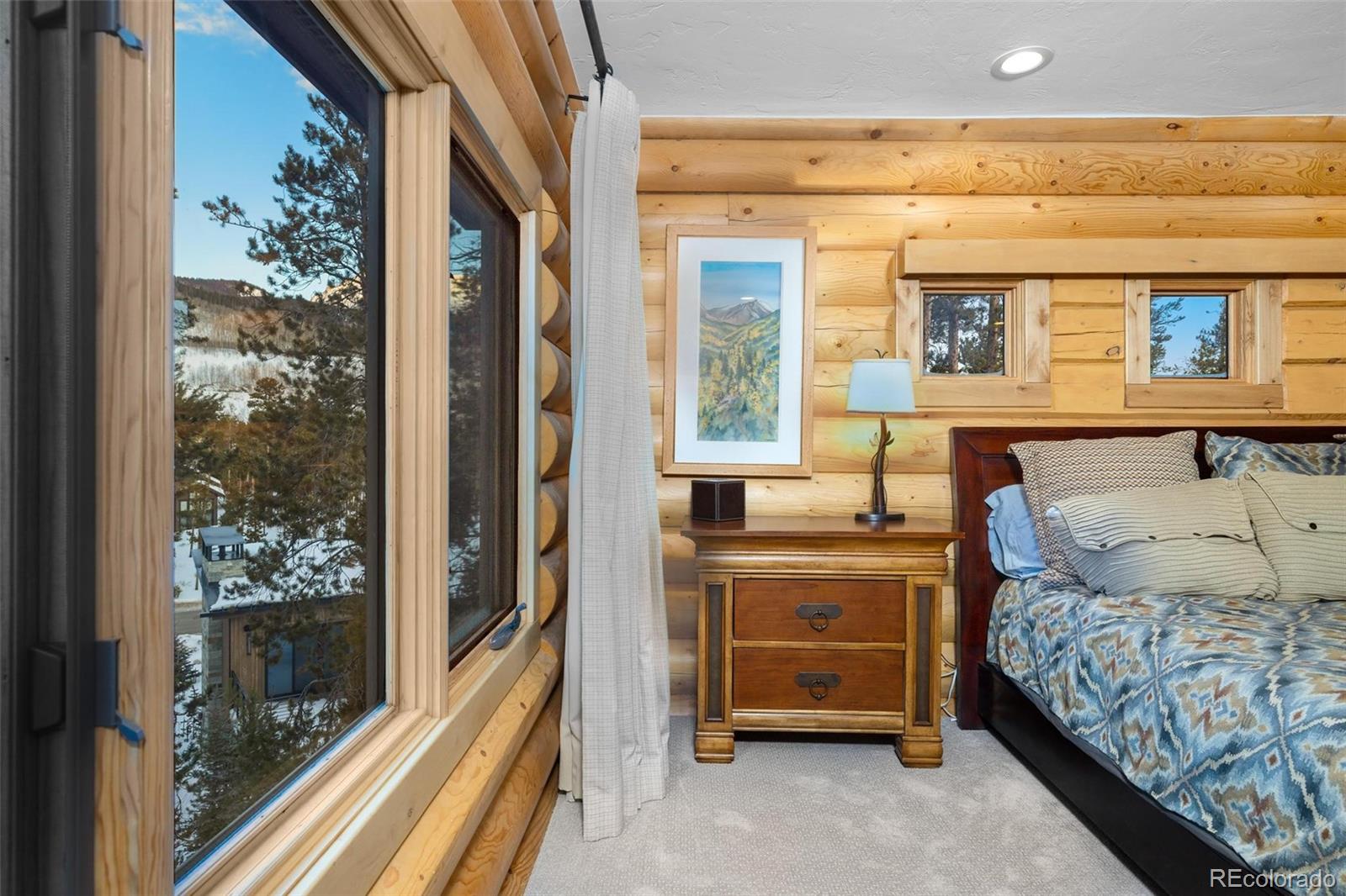 MLS Image #19 for 116  primrose place,frisco, Colorado