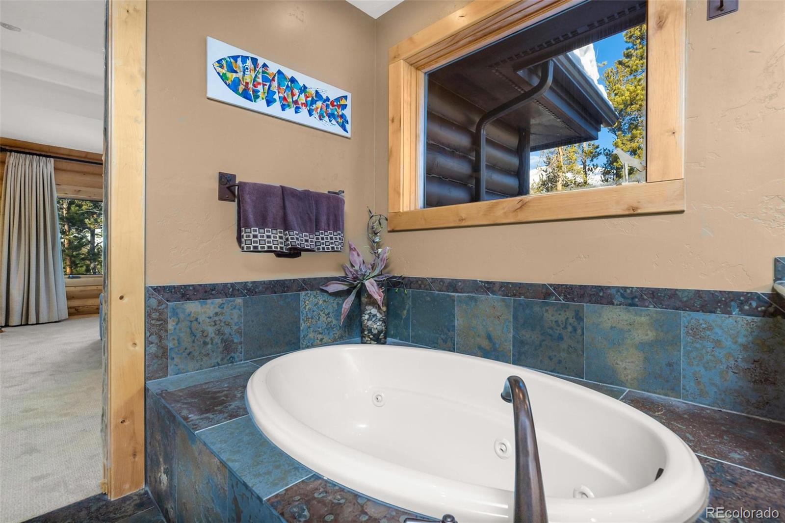 MLS Image #20 for 116  primrose place,frisco, Colorado