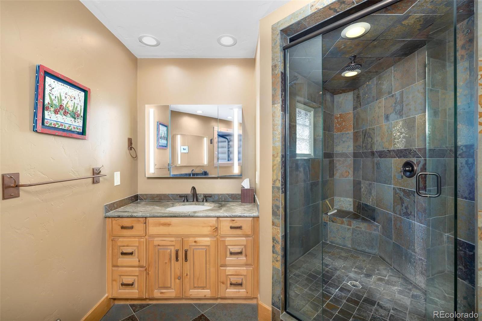 MLS Image #22 for 116  primrose place,frisco, Colorado