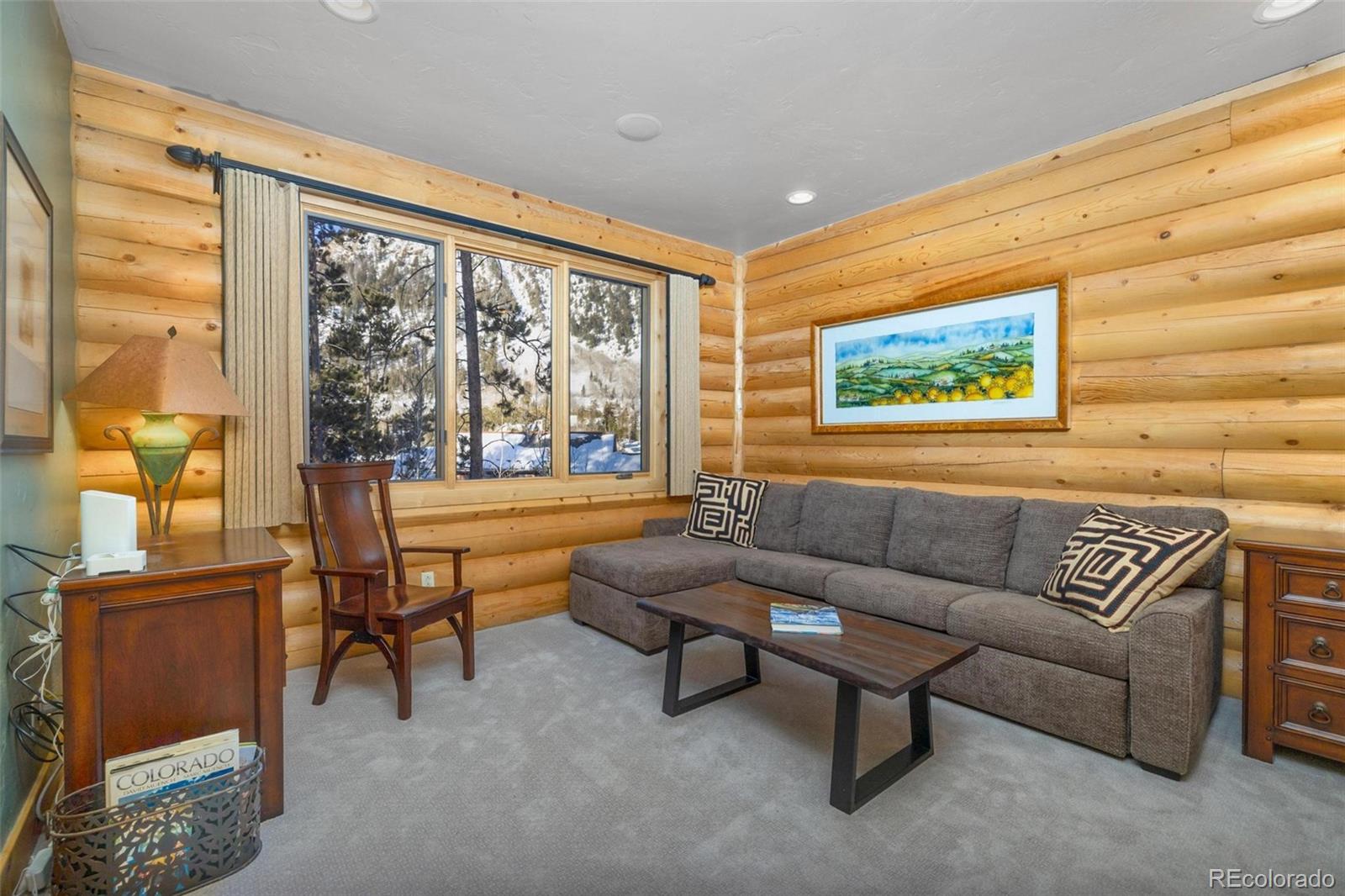 MLS Image #29 for 116  primrose place,frisco, Colorado