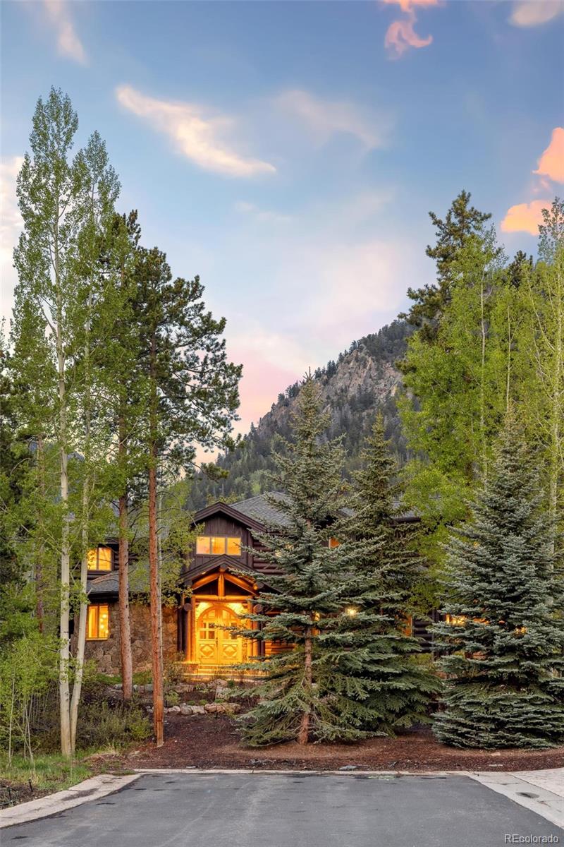MLS Image #36 for 116  primrose place,frisco, Colorado