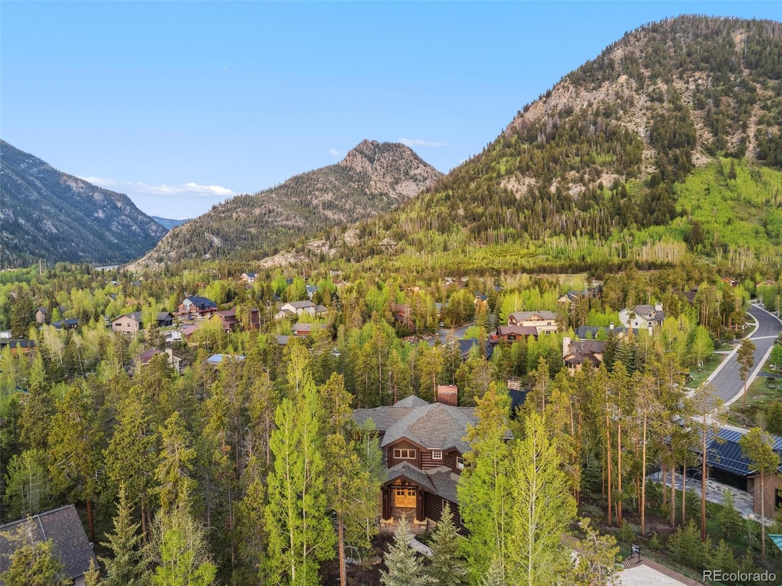 MLS Image #5 for 116  primrose place,frisco, Colorado