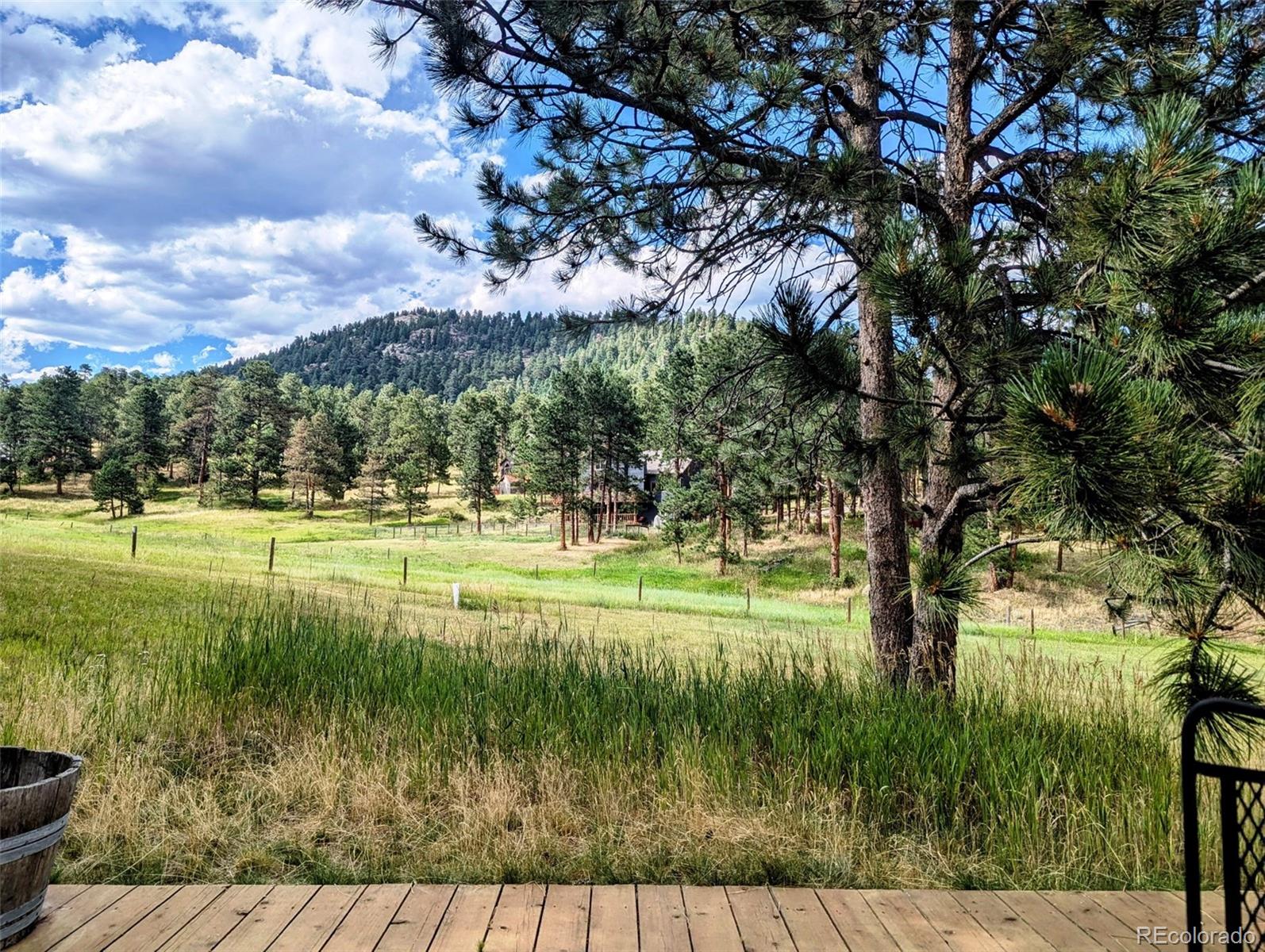 MLS Image #38 for 31299  manitoba drive,evergreen, Colorado