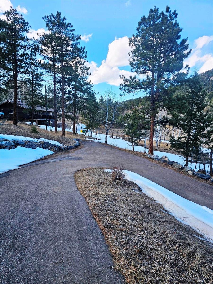 MLS Image #44 for 31299  manitoba drive,evergreen, Colorado