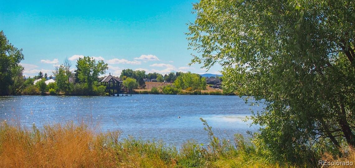 MLS Image #29 for 290  pierce street,lakewood, Colorado