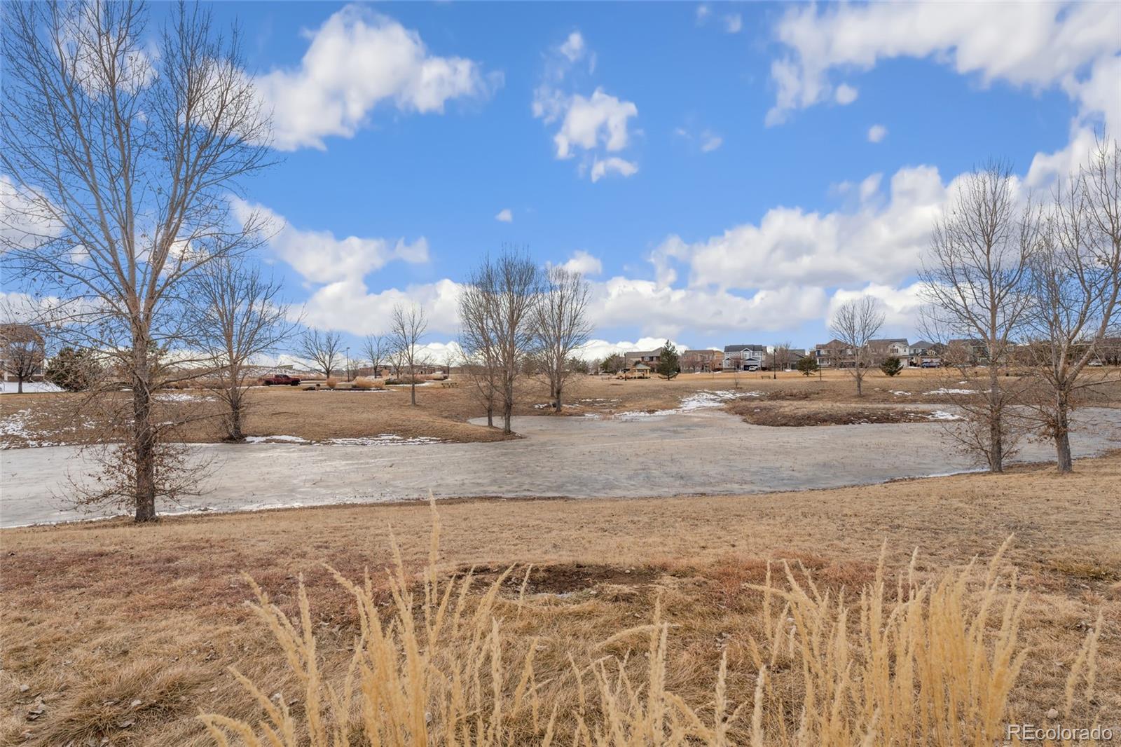 MLS Image #32 for 12243  joplin street,commerce city, Colorado