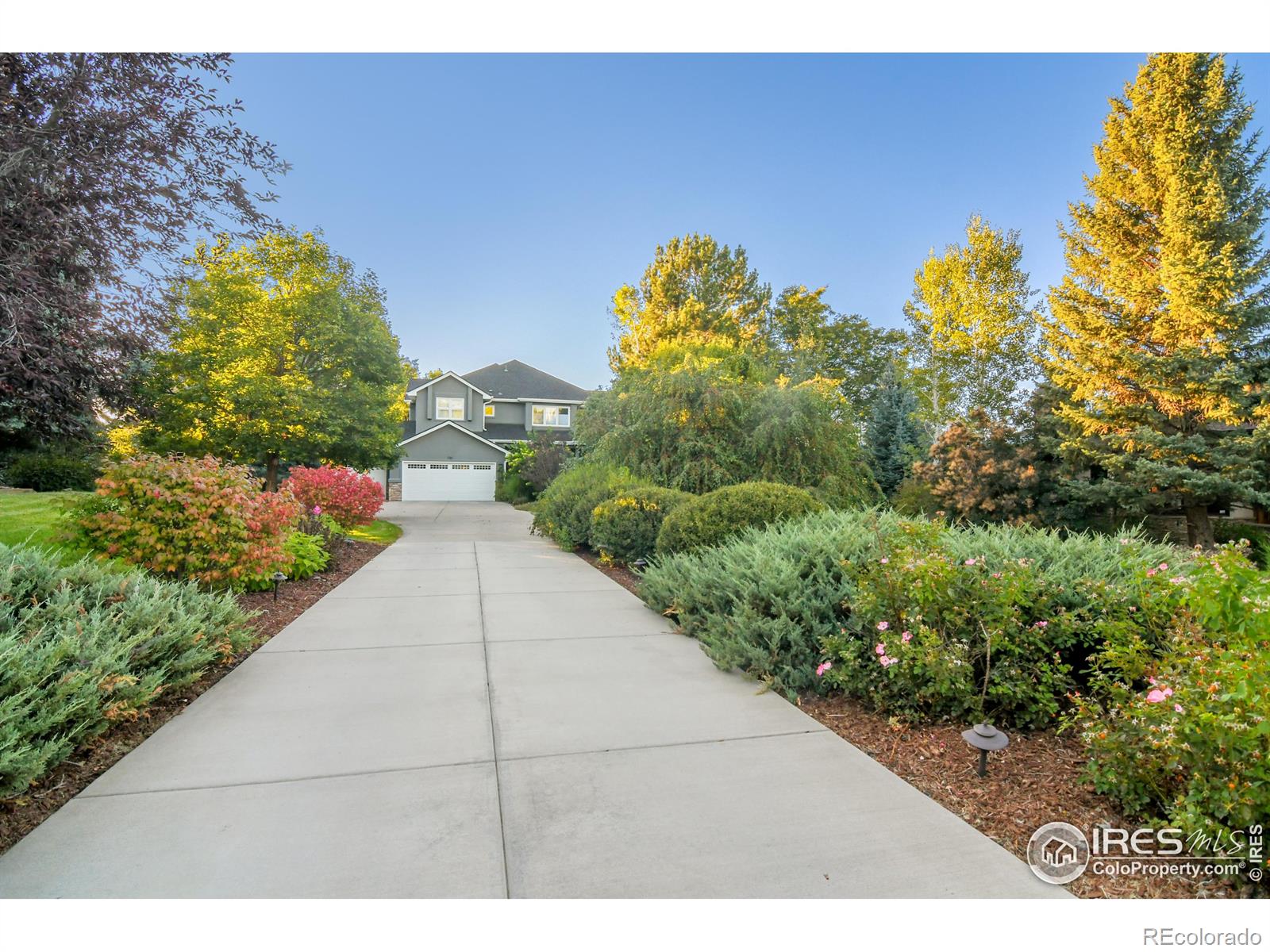 MLS Image #2 for 7181  longview drive,niwot, Colorado