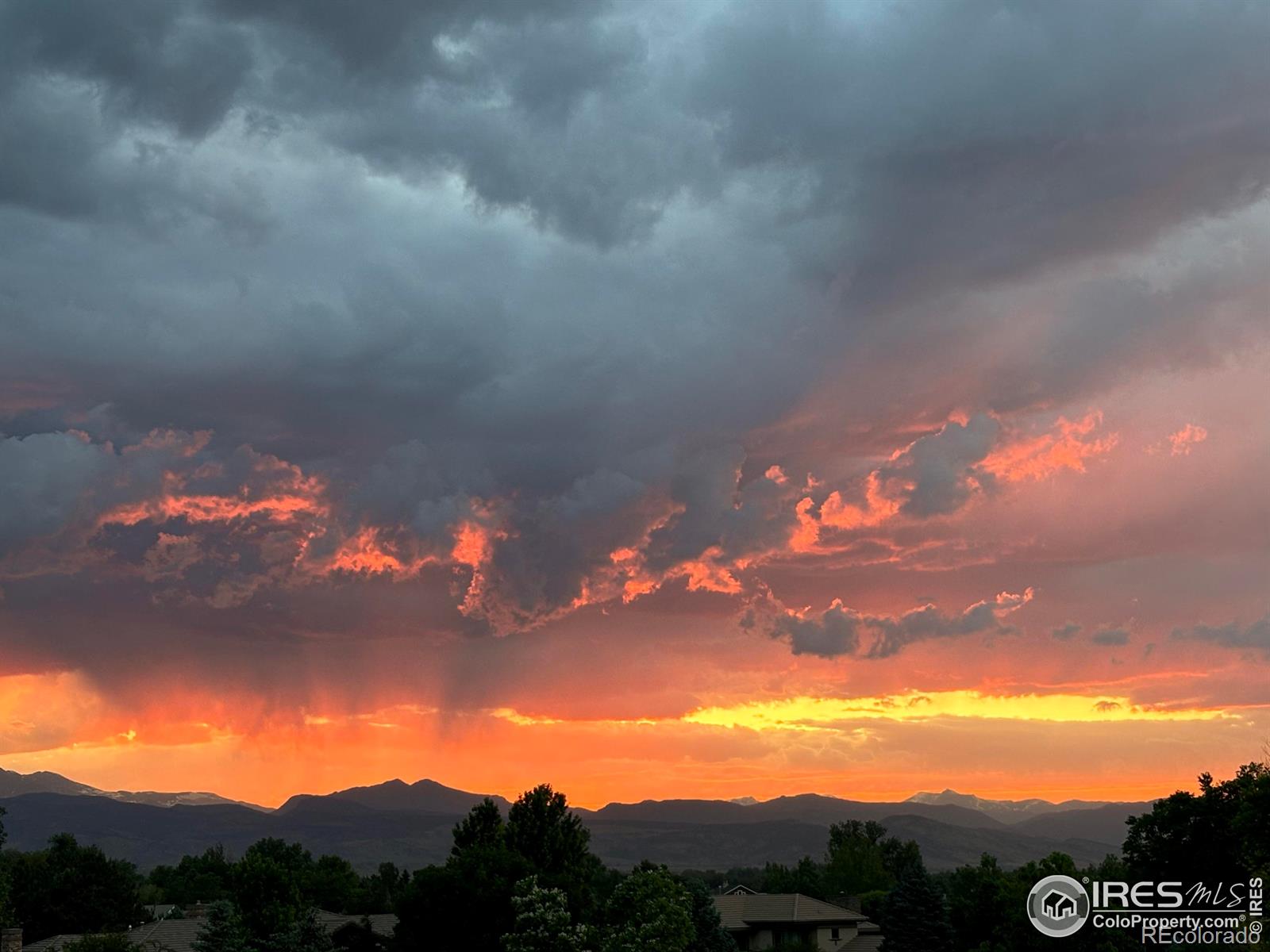 MLS Image #38 for 7181  longview drive,niwot, Colorado