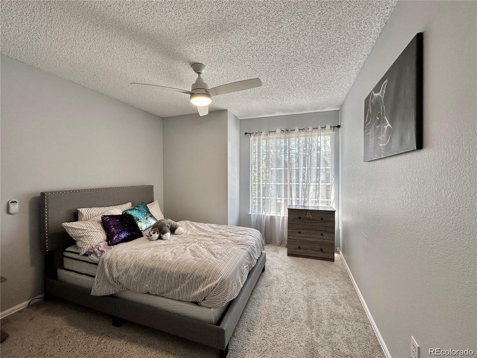 MLS Image #18 for 17037 e wiley place,parker, Colorado