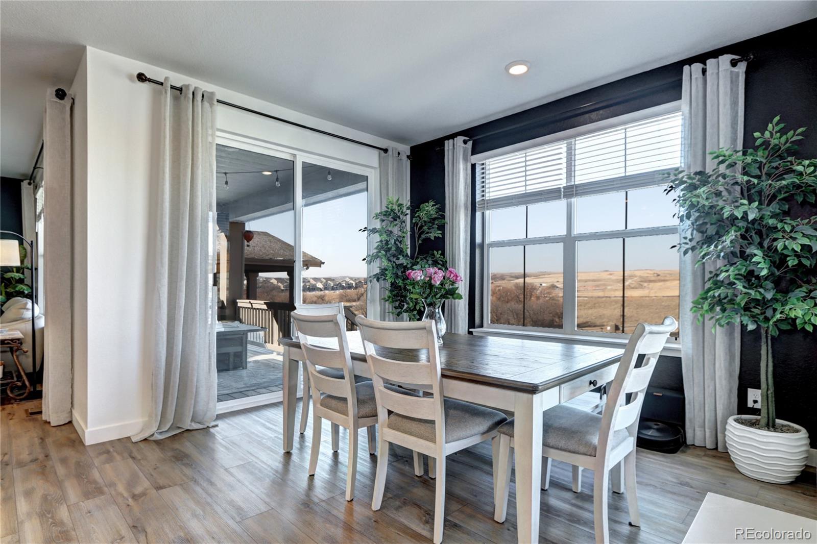 MLS Image #13 for 13437  starhawk lane,parker, Colorado