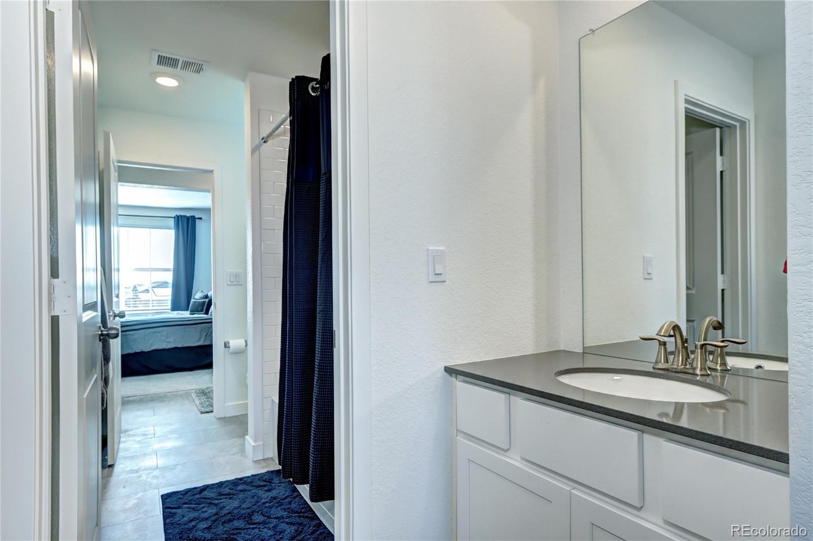 MLS Image #21 for 13437  starhawk lane,parker, Colorado
