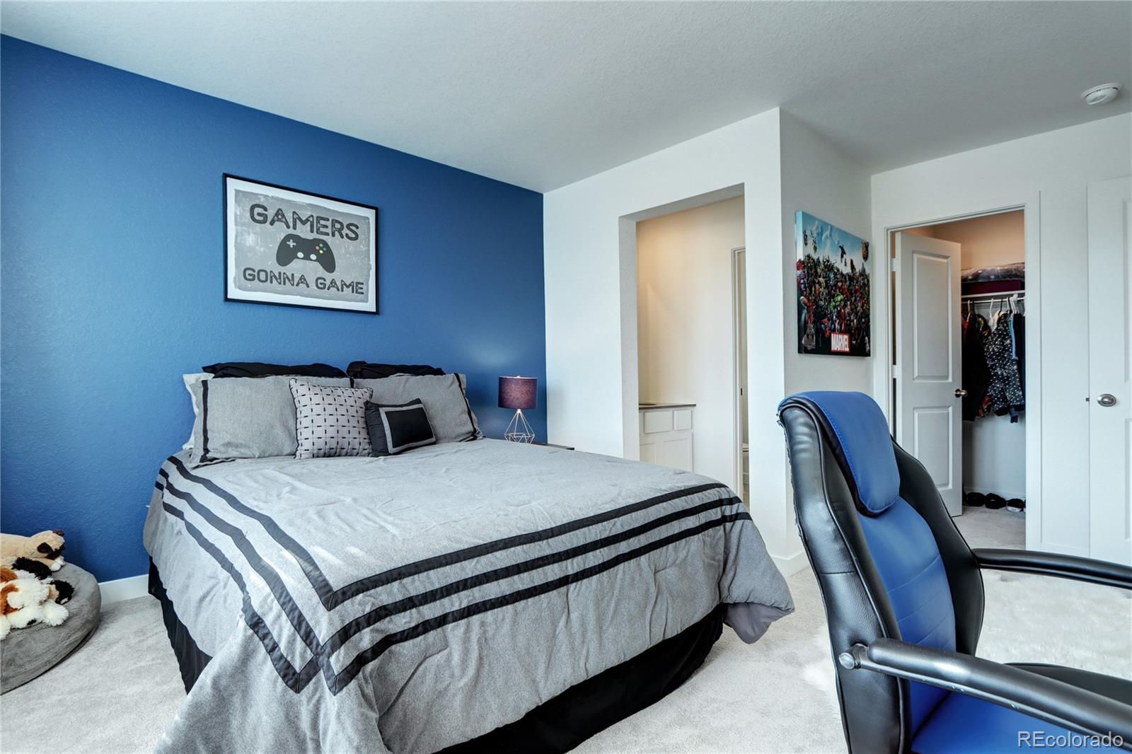 MLS Image #23 for 13437  starhawk lane,parker, Colorado