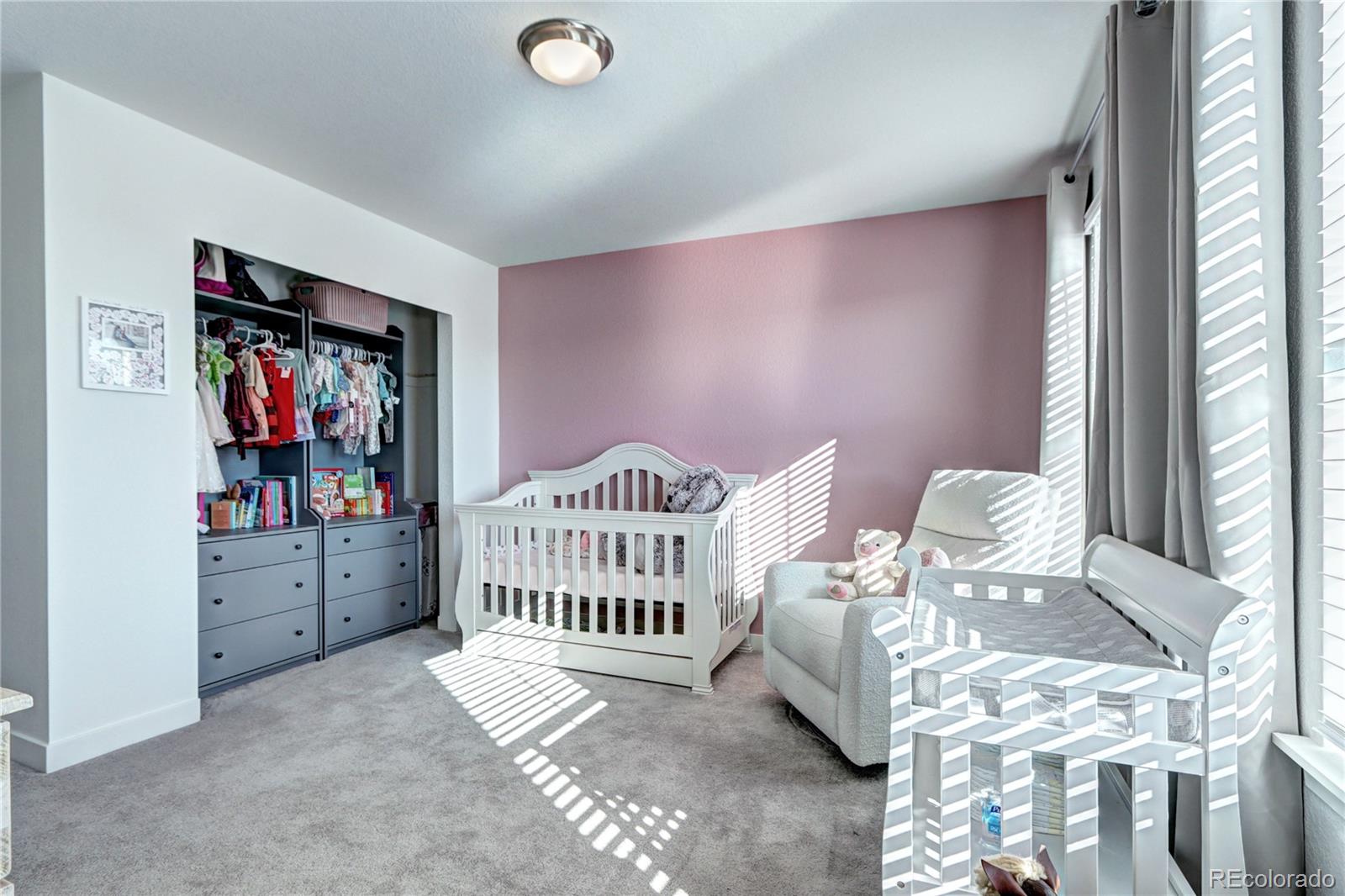 MLS Image #25 for 13437  starhawk lane,parker, Colorado