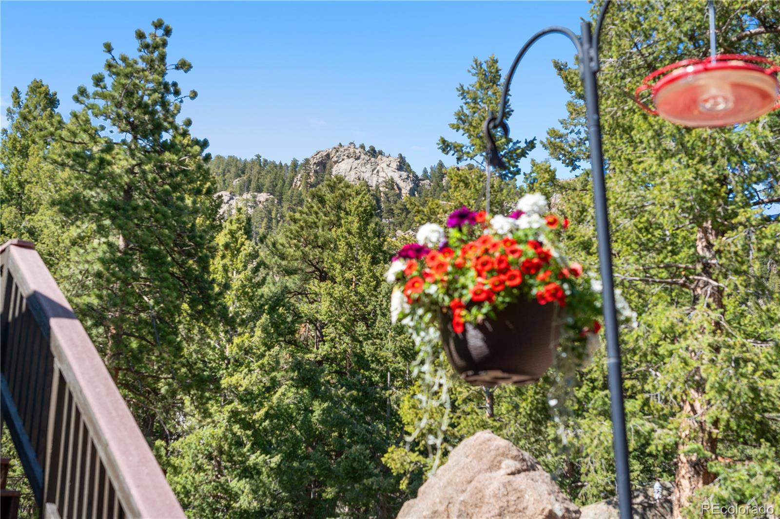MLS Image #3 for 25531  mosier circle,conifer, Colorado