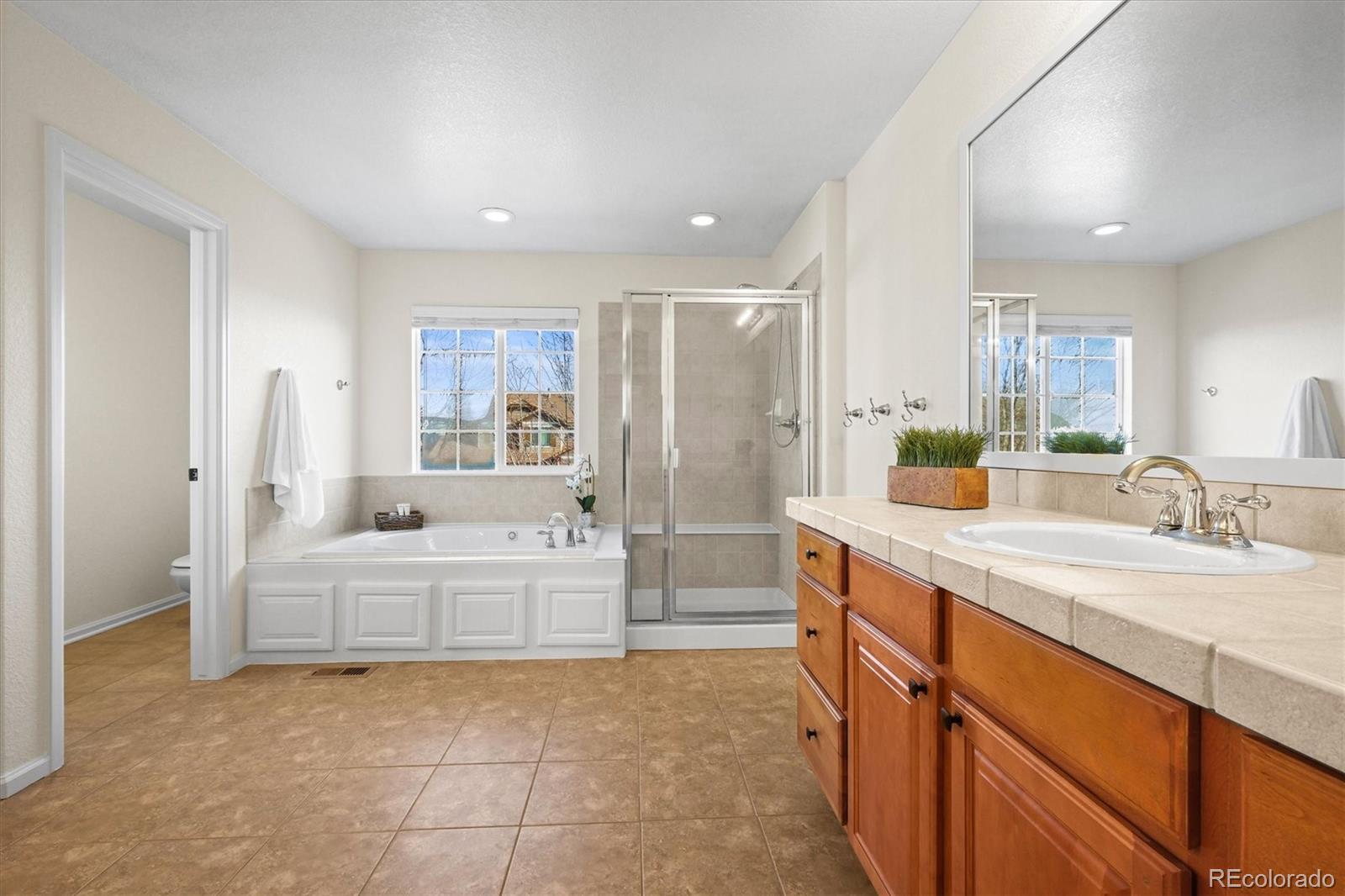 MLS Image #12 for 16706 e black horn drive,parker, Colorado