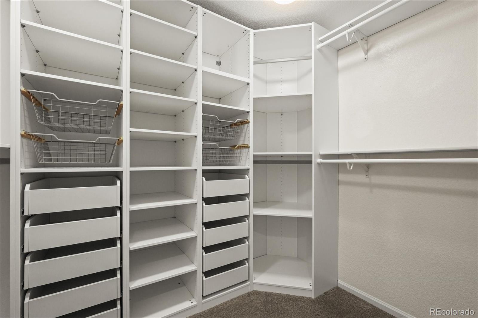 MLS Image #13 for 16706 e black horn drive,parker, Colorado