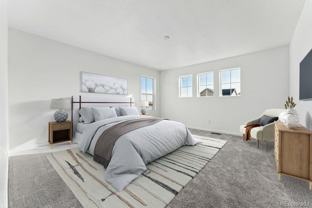 MLS Image #10 for 4304  ridgewalk point,castle rock, Colorado