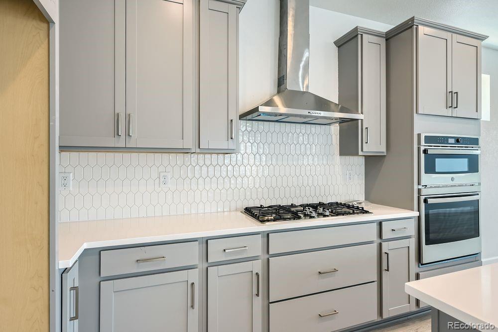 MLS Image #11 for 4304  ridgewalk point,castle rock, Colorado