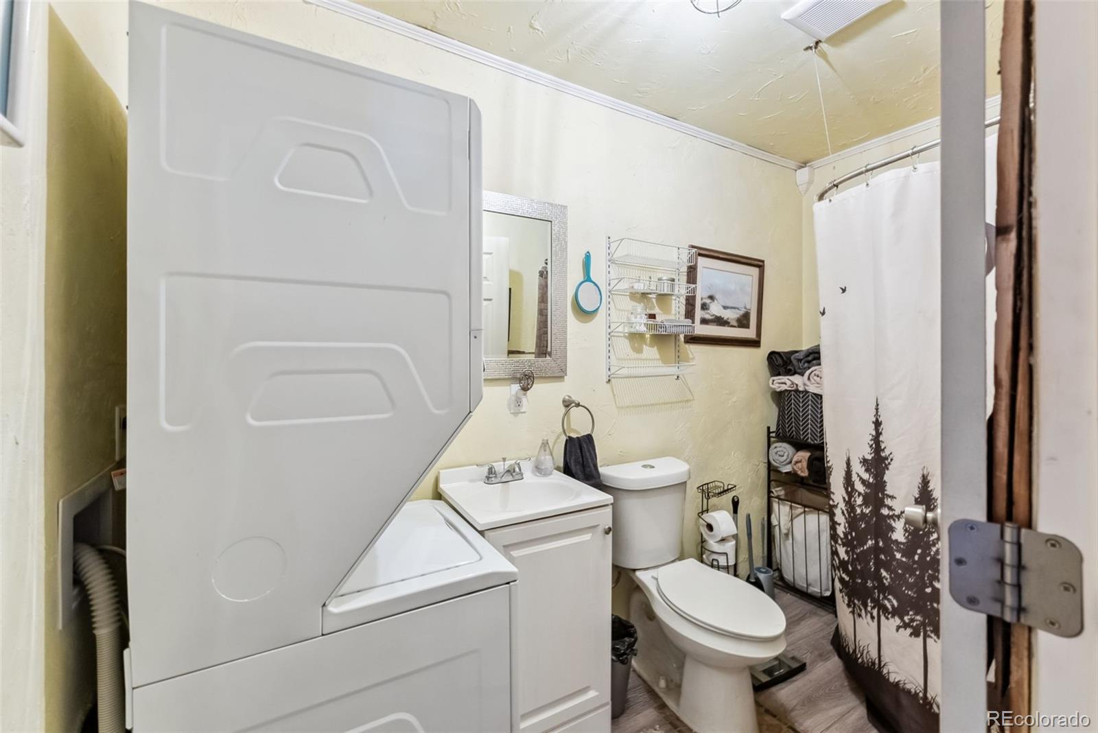 MLS Image #29 for 50  puma court,como, Colorado