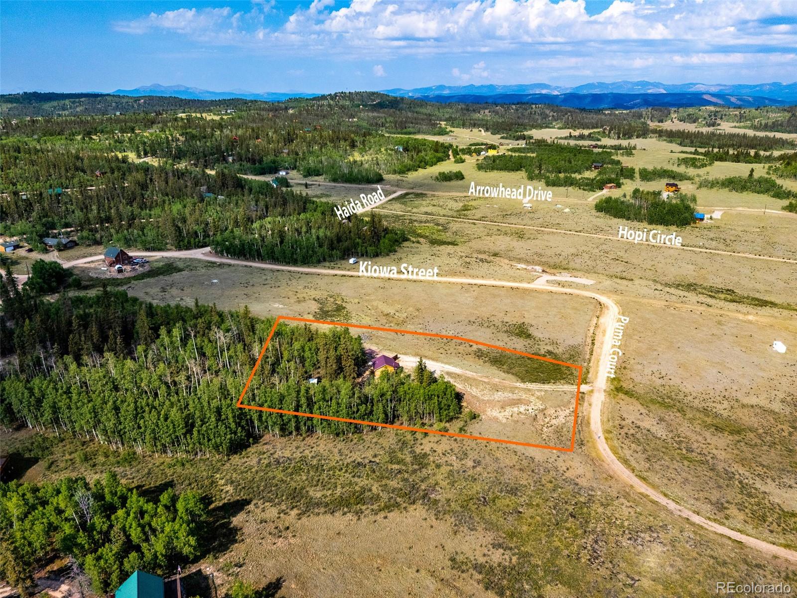 MLS Image #5 for 50  puma court,como, Colorado